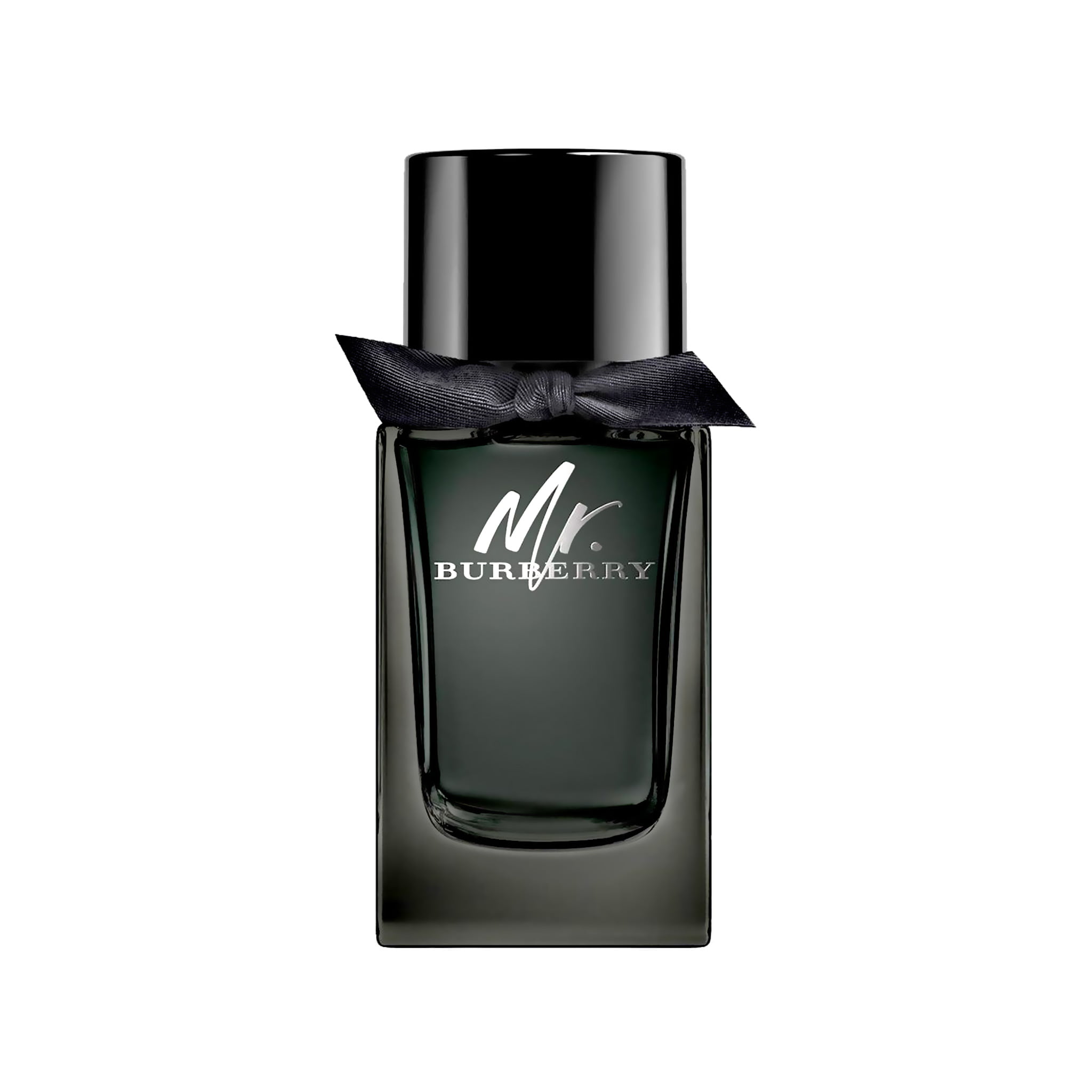 Mr. Burberry for Men Eau de parfum 100ml