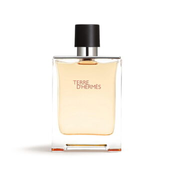 Hermes Terre D' Hermes for Men Eau de Toilette 100ml