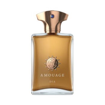 Amouage Dia Men 100ml