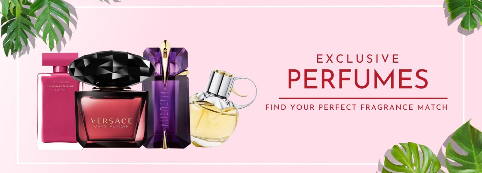 Buy luxury perfume in UAE