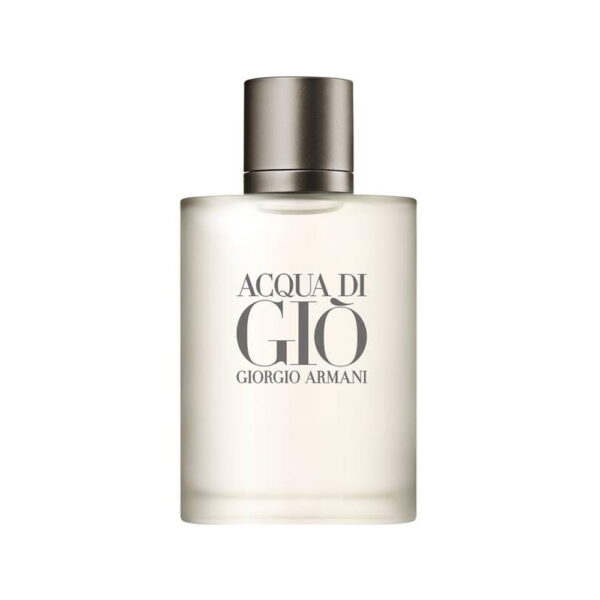 Giorgio Armani Acqua Di Gio for Men Eau de toilette 100ml