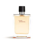 Hermes Terre D' Hermes for Men Eau de Toilette 100ml