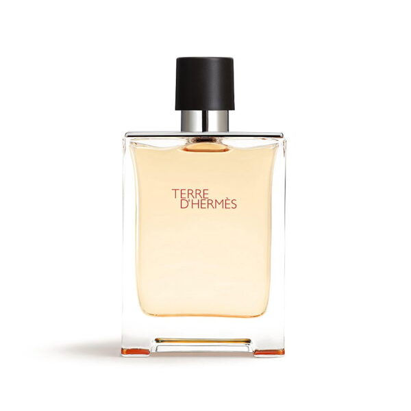 Hermes Terre D' Hermes for Men Eau de Toilette 100ml