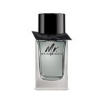 Mr. Burberry for Men Eau de toilette 100ml