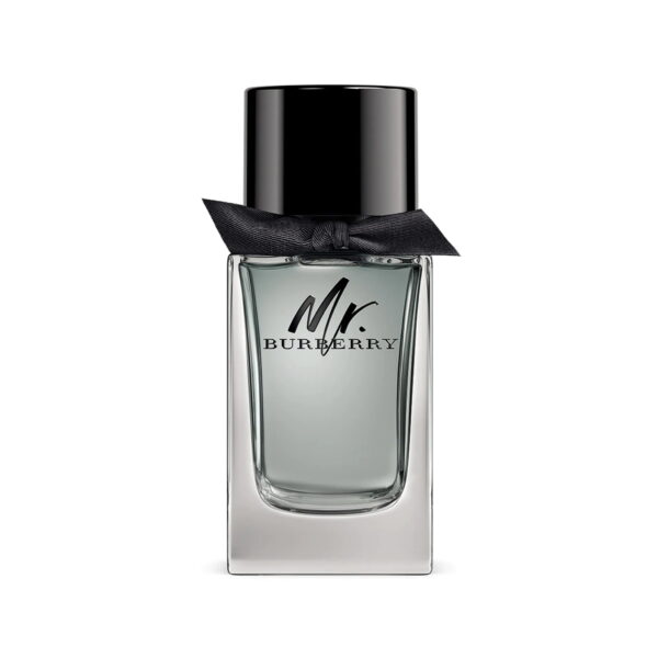 Mr. Burberry for Men Eau de toilette 100ml