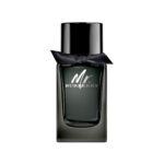 Mr. Burberry for Men Eau de parfum 100ml