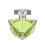 Britney Spears Believe For Women Eau De Parfum 100ml